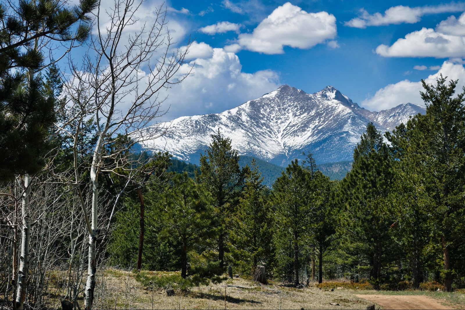 a dirt road surrounded by trees and mountains