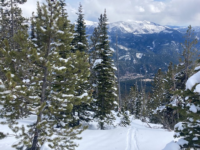 a snow covered forest with a mountain in the background