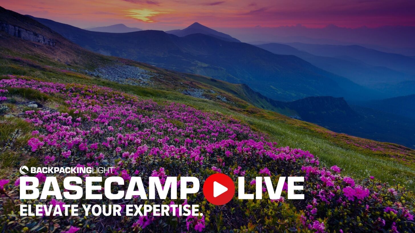 basecamp live online course - elevate your expertise