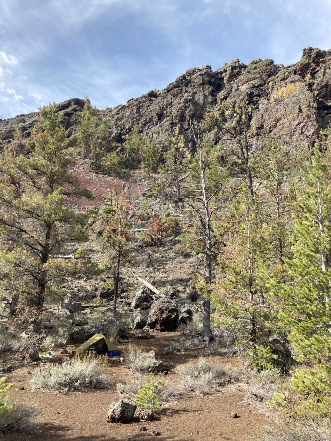 A tent is pitched in a grove of coniferous trees with rocks and cliffs in the background.