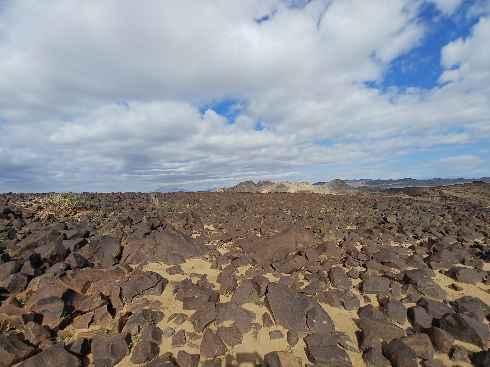 a sandy area with rocks and grass under a cloudy sky