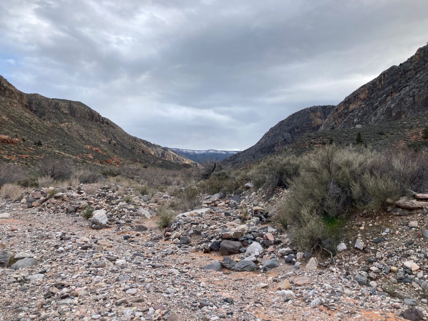 a desert scene with canyon walls on either side and a moody sky.