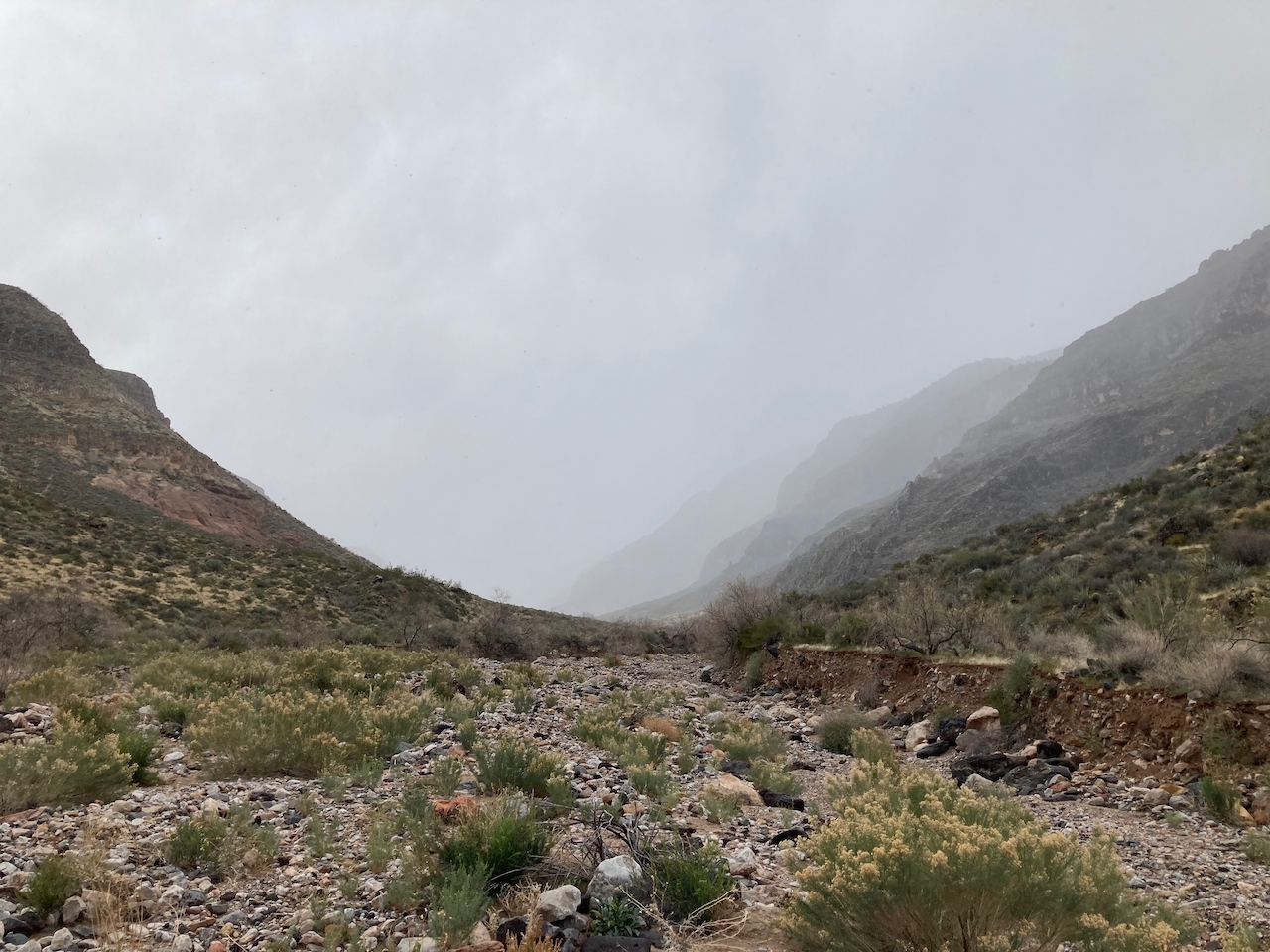 a desert scene with winter rain.