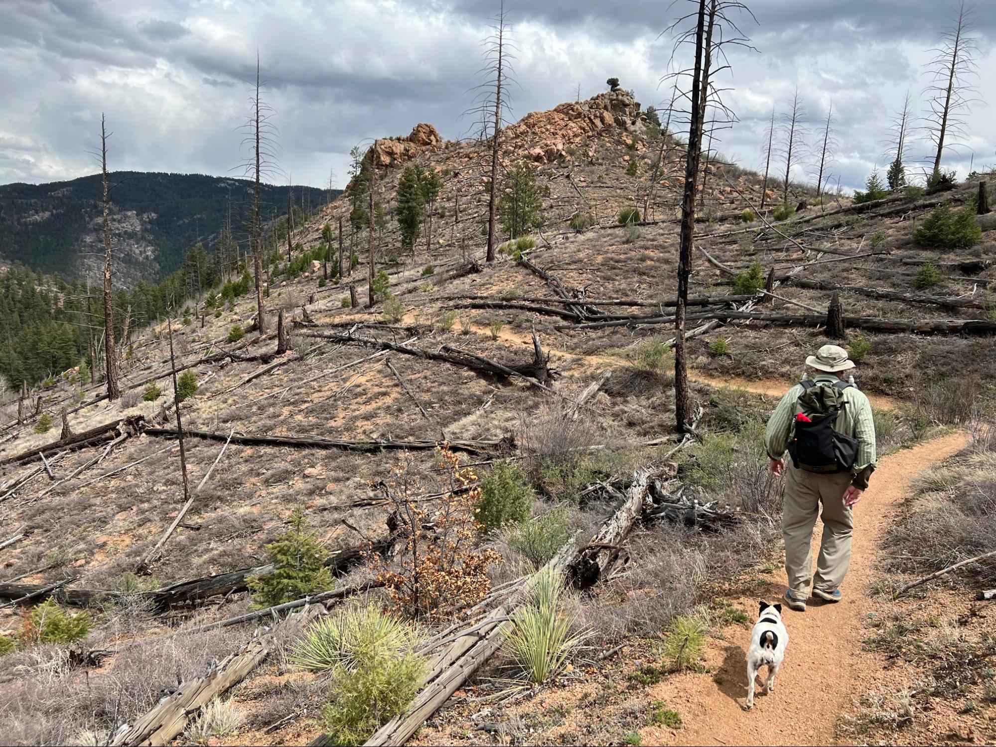 a man walking down a trail with a dog on a leash