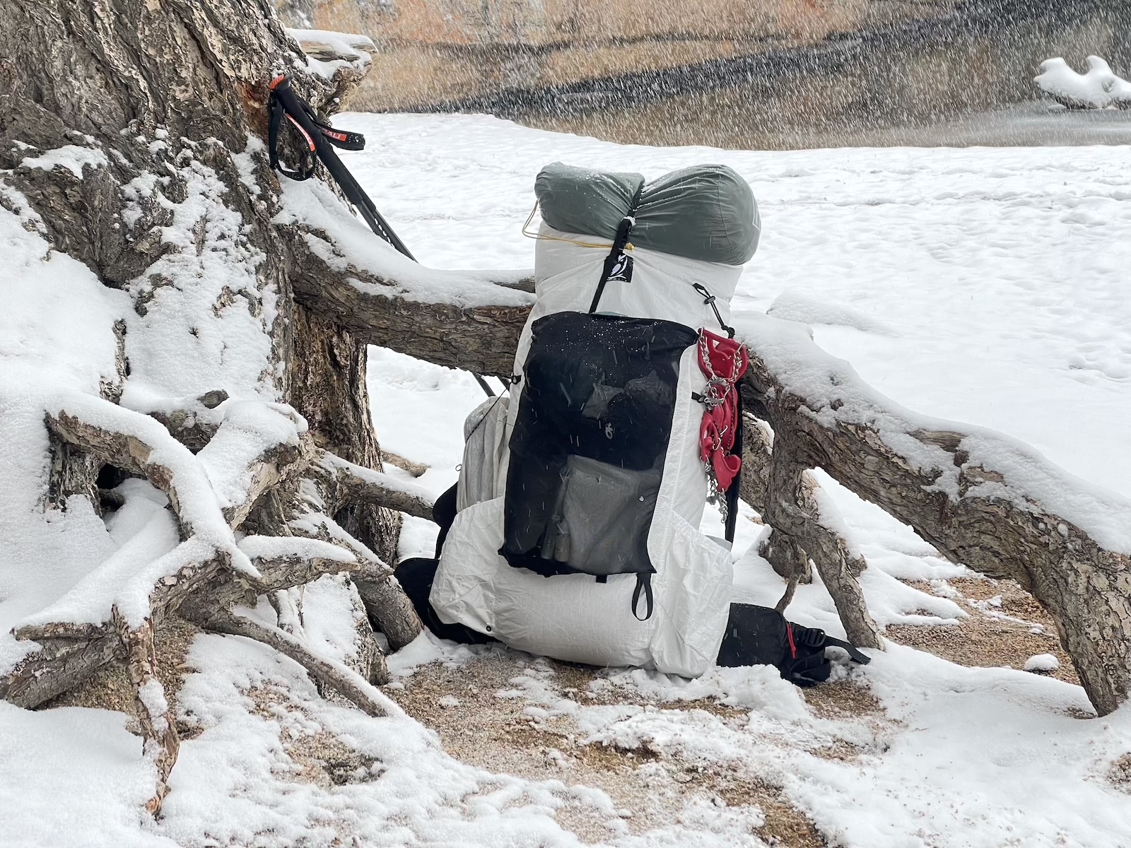 a backpack sitting on top of a tree in the snow