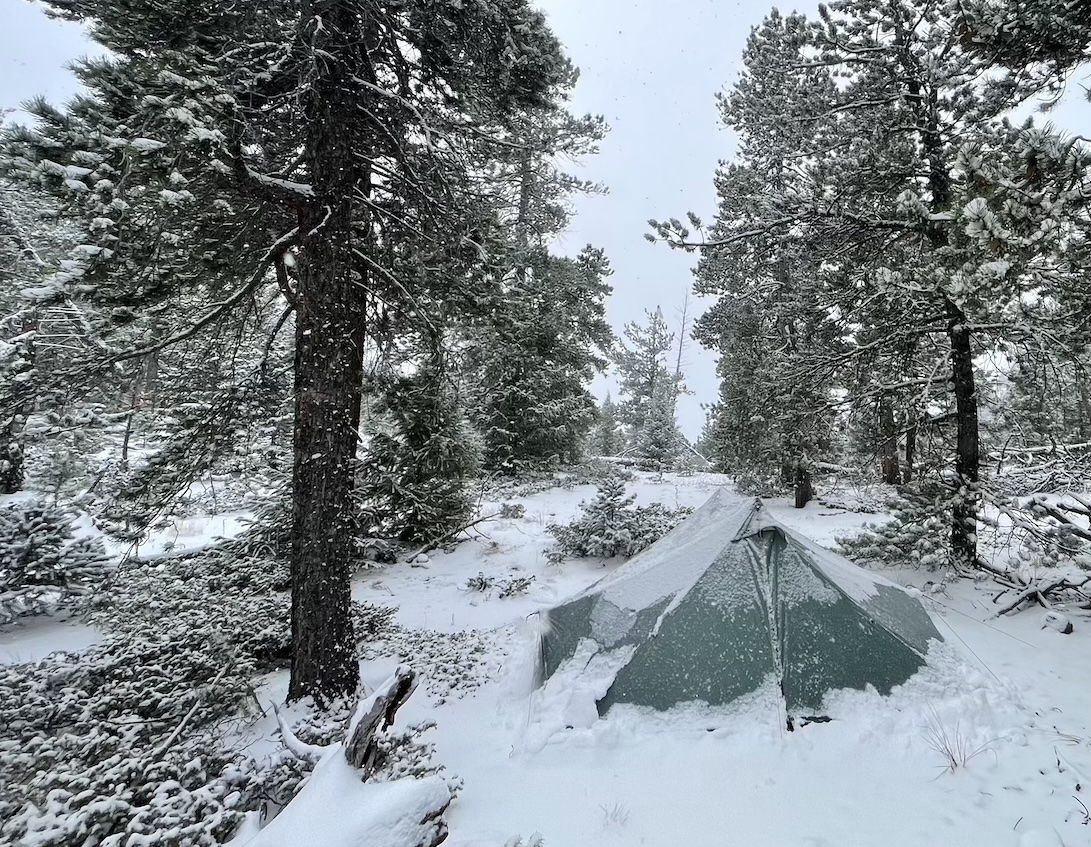 a tent in the middle of a snowy forest