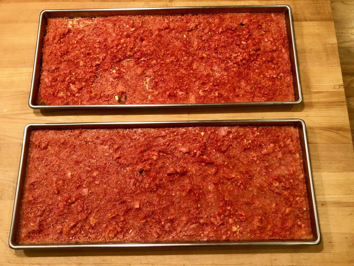 two sheets of freeze-dried tomato sauce, in kind of a cake form.