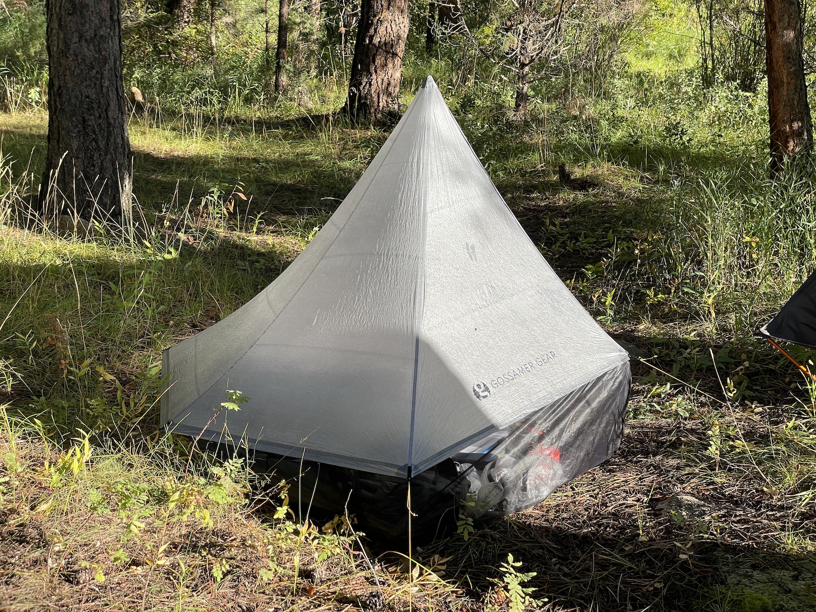 a tent in the middle of a forest