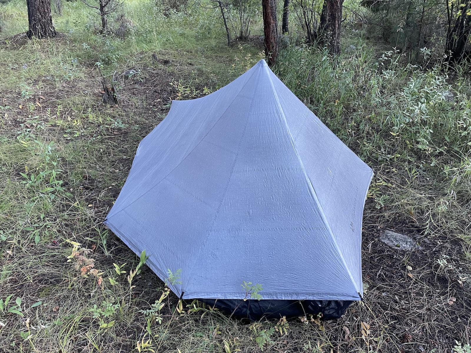 a blue tent sitting in the middle of a forest