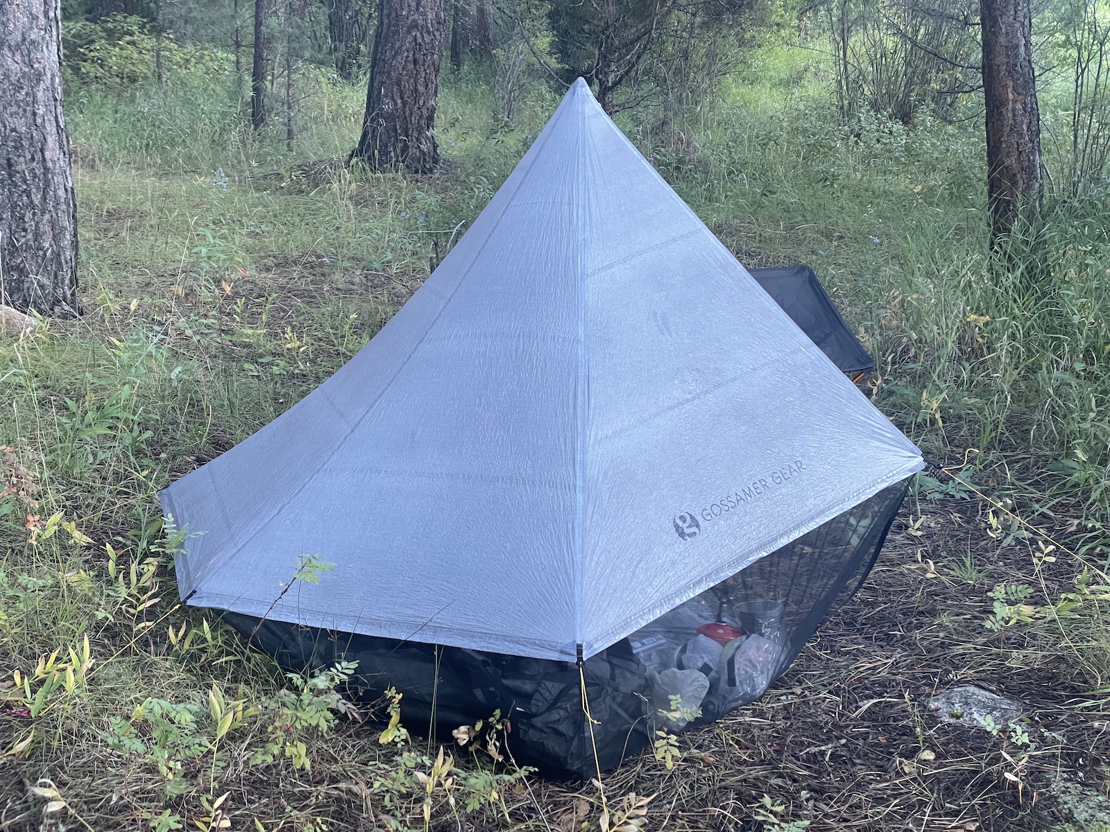 a tent in the middle of a forest