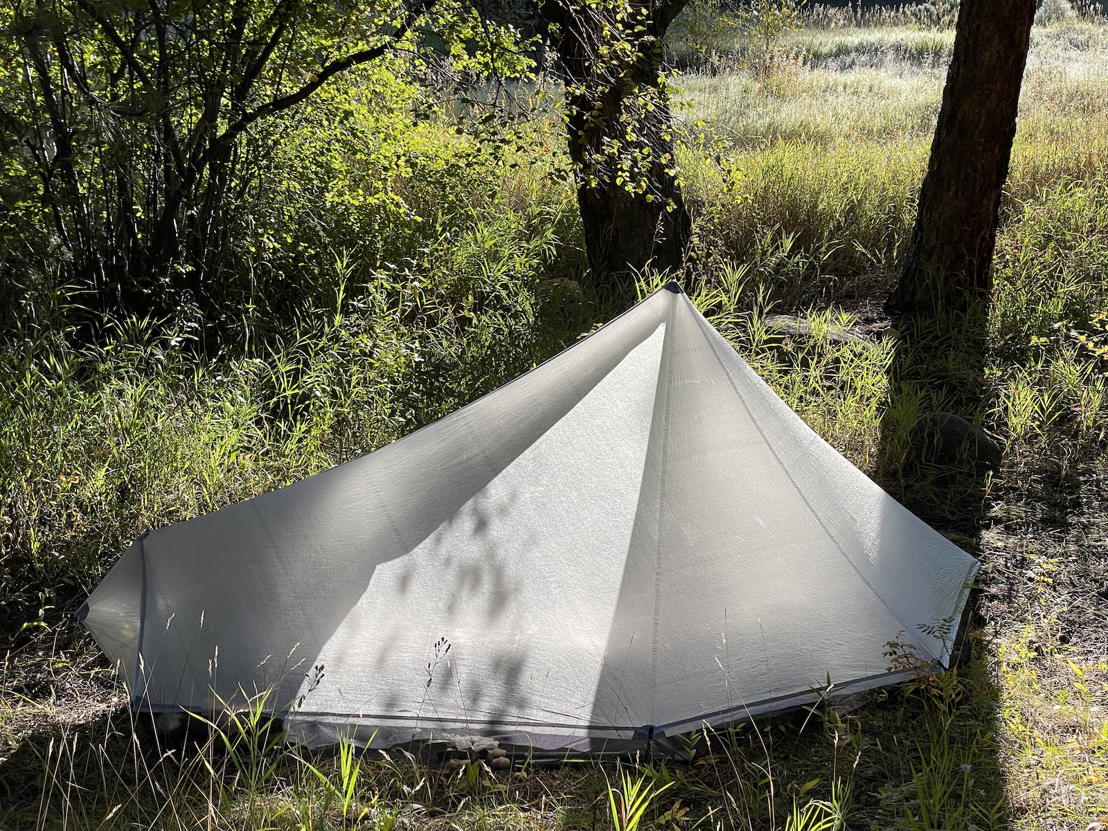 a white umbrella sitting in the middle of a forest