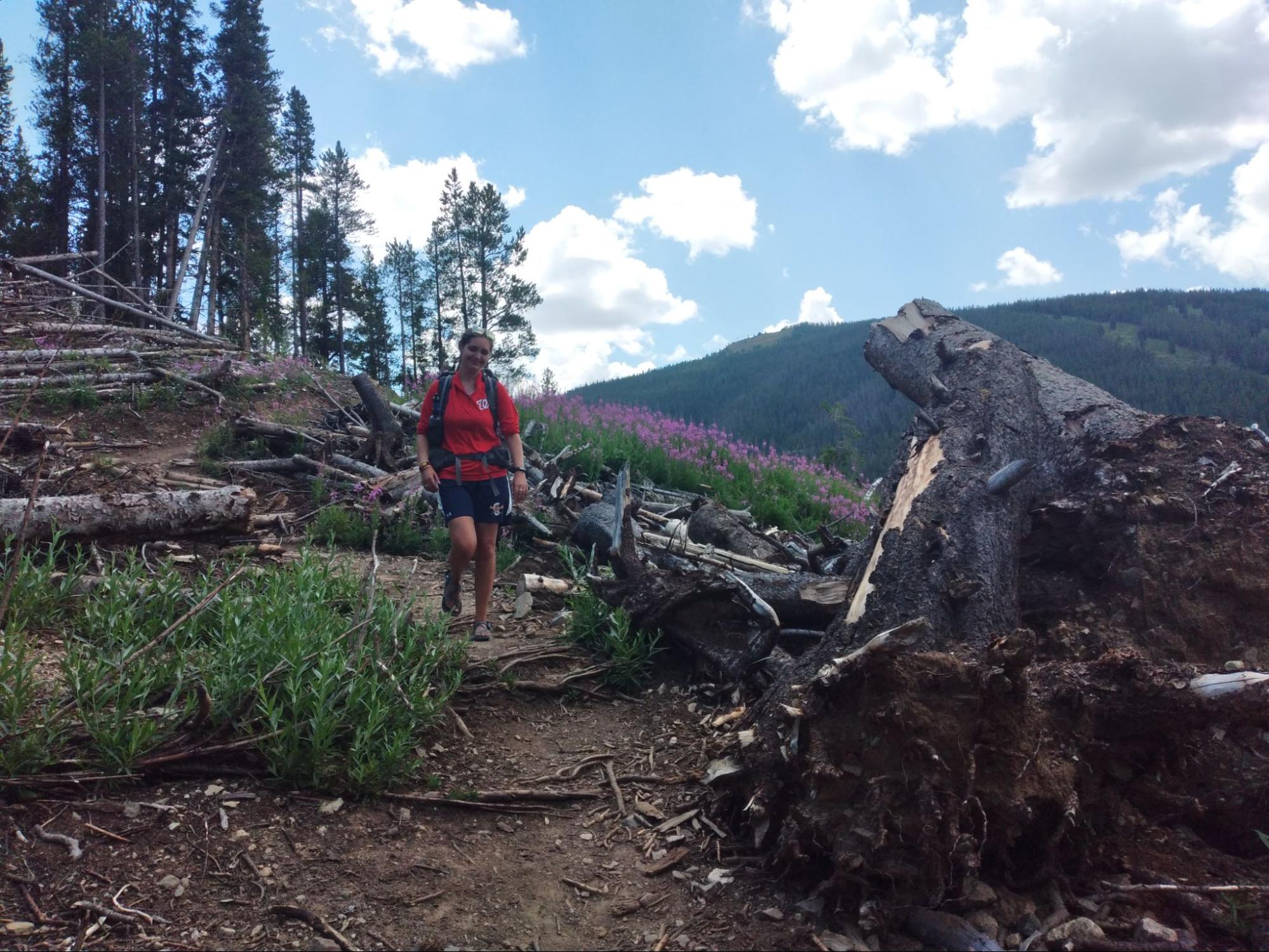 a man in a red jacket is walking on a trail