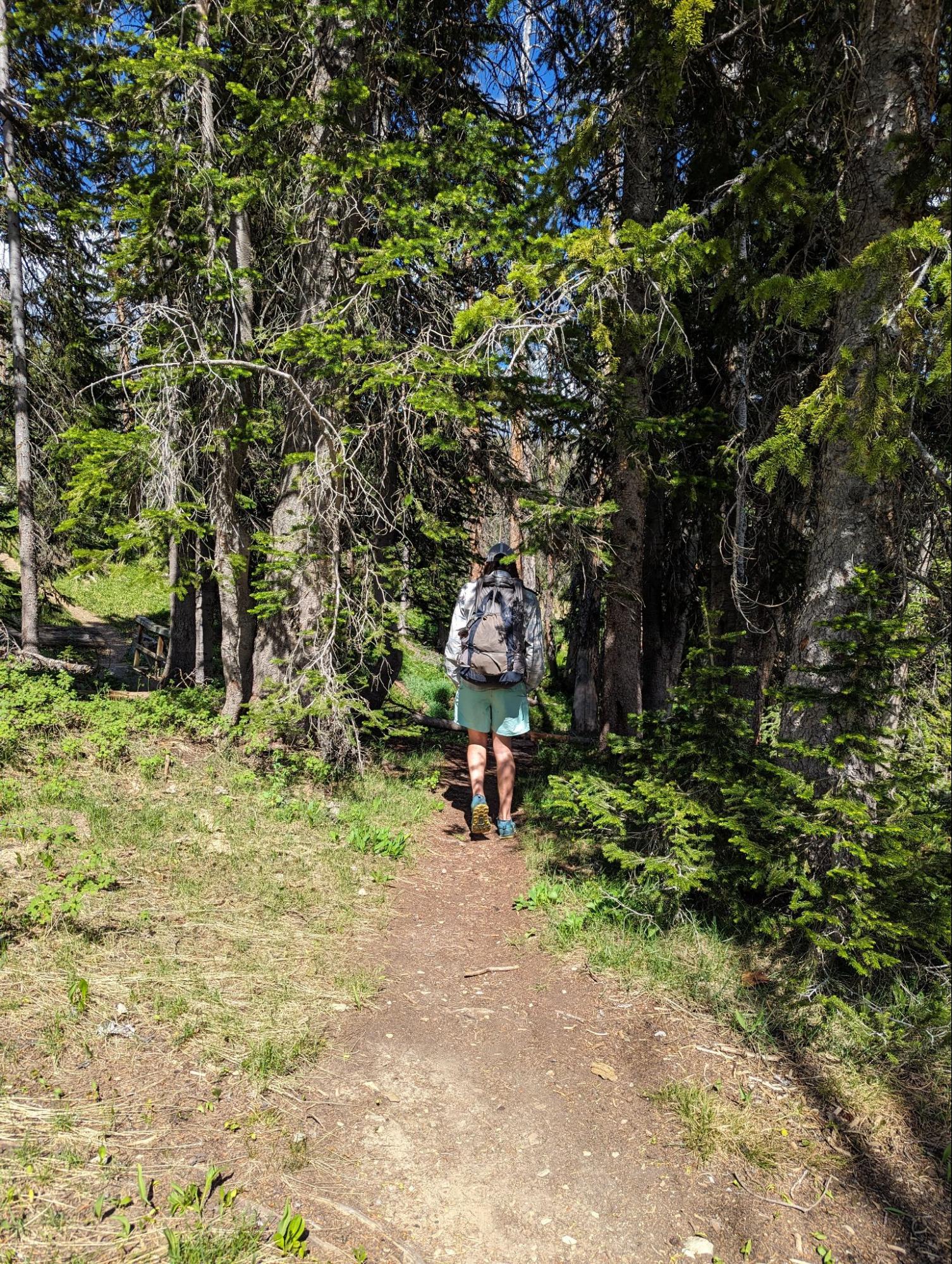 a man with a backpack is walking through the woods