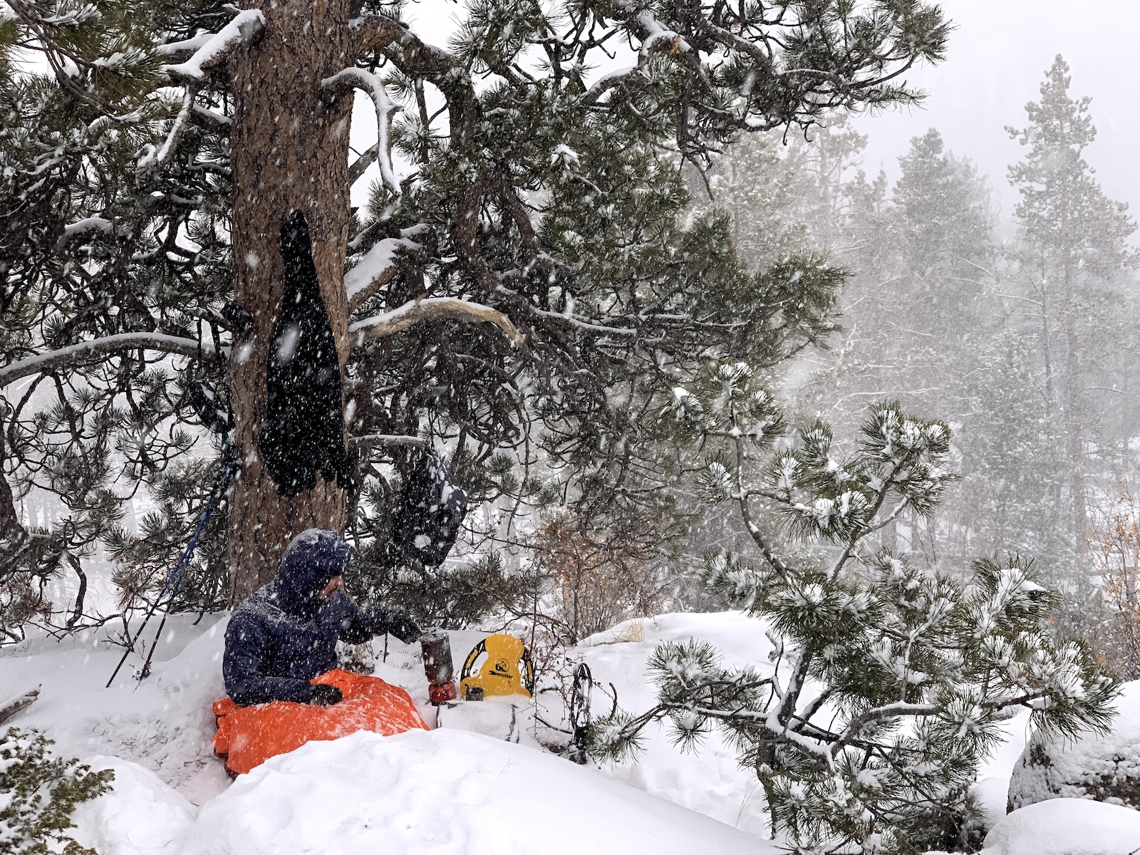 a person sitting in the snow next to a tree