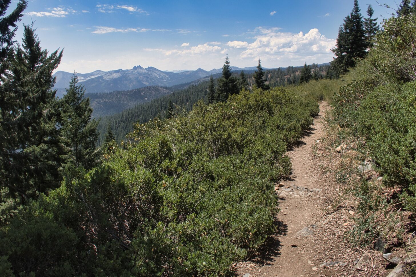 a path winds through short underbrush with mountains in the distance.