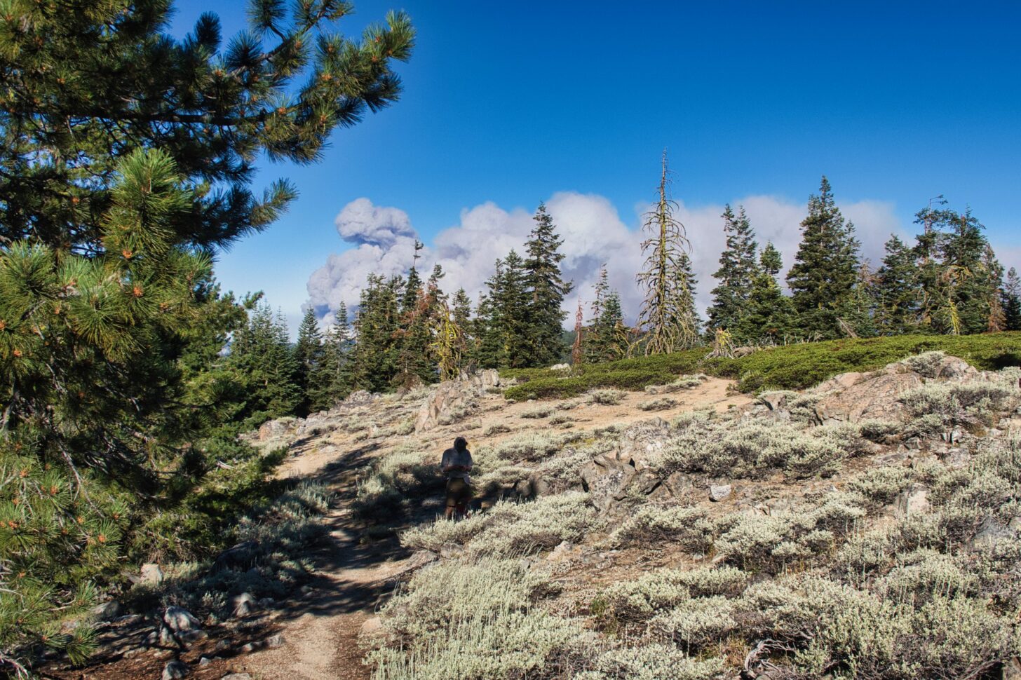 Smoke billows on the horizon over a hill.