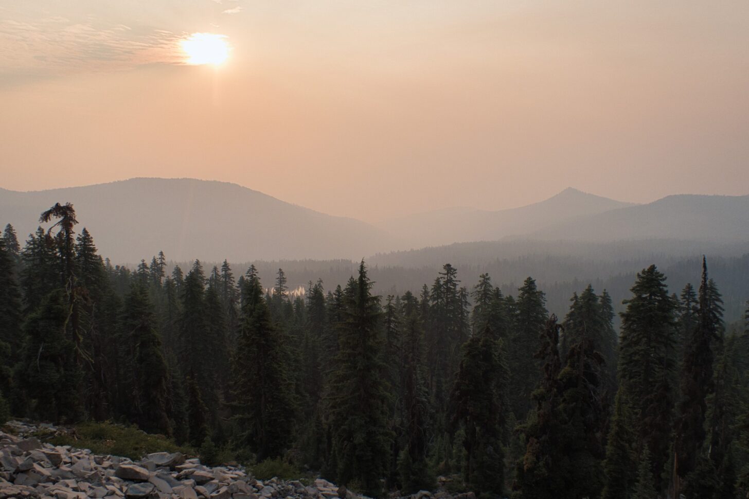 An orange sun illuminates a sickly orange rigeline above a forest of firs.