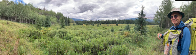 man hiking, meadow in background