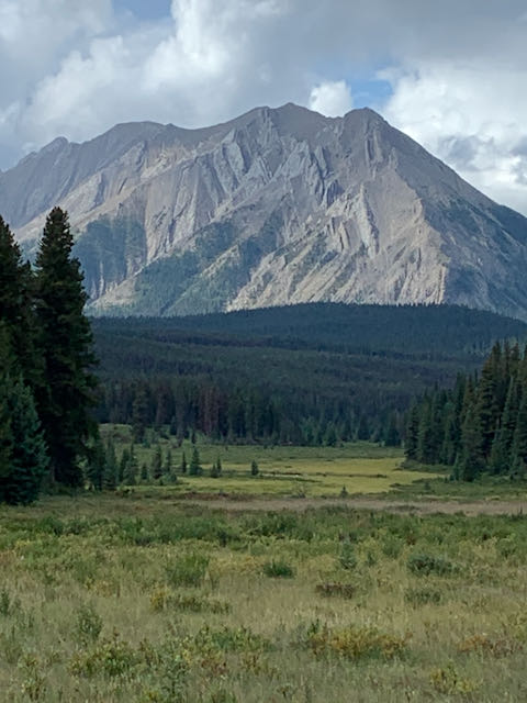 meadow with a large mountain on the horizon