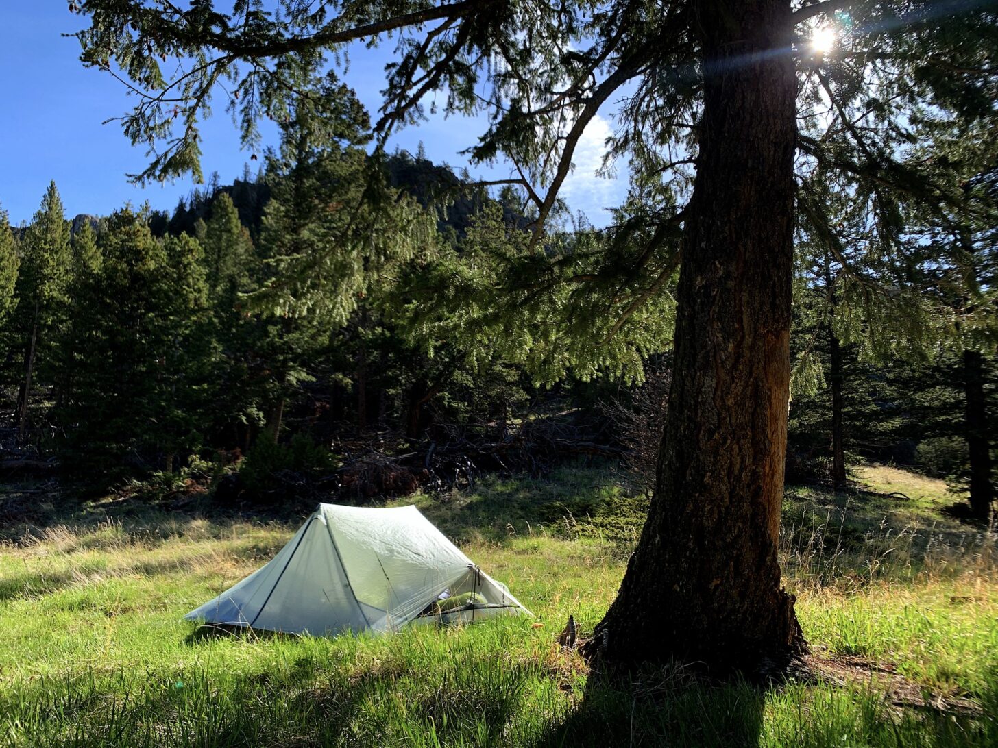 Camped under an old-growth fir at a grassy and remote off-trail pass east of Rocky Mountain National Park in Colorado. Tarptent Dipole 2 Li. Photo: Ryan Jordan