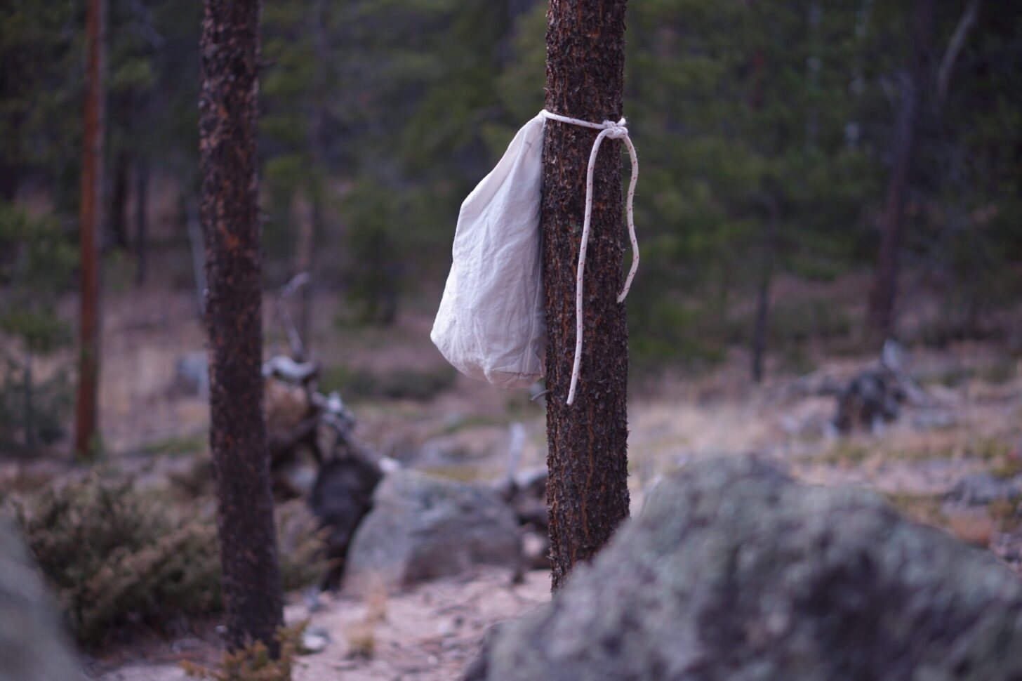 an ursack tied to a tree.