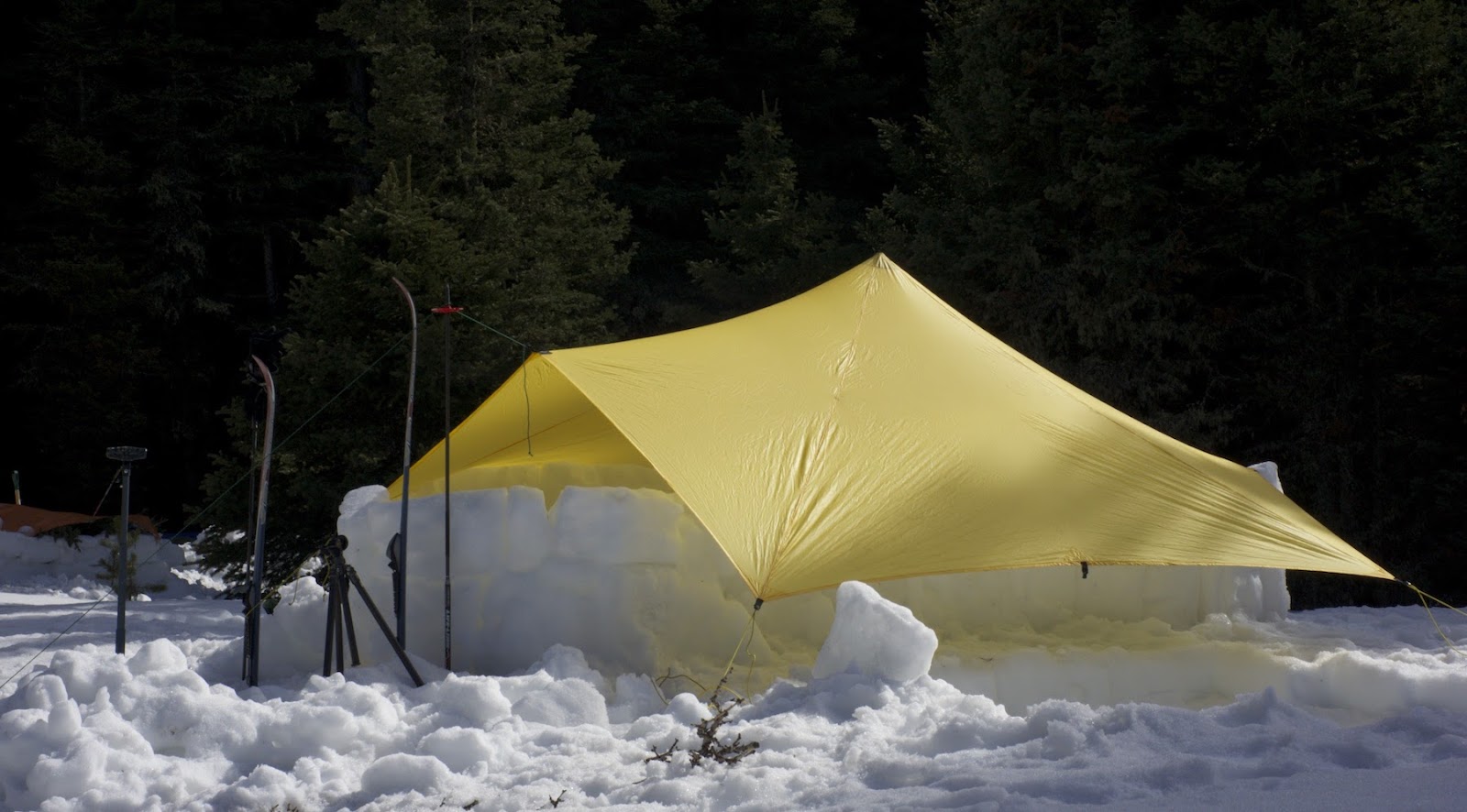 Tarp in winter